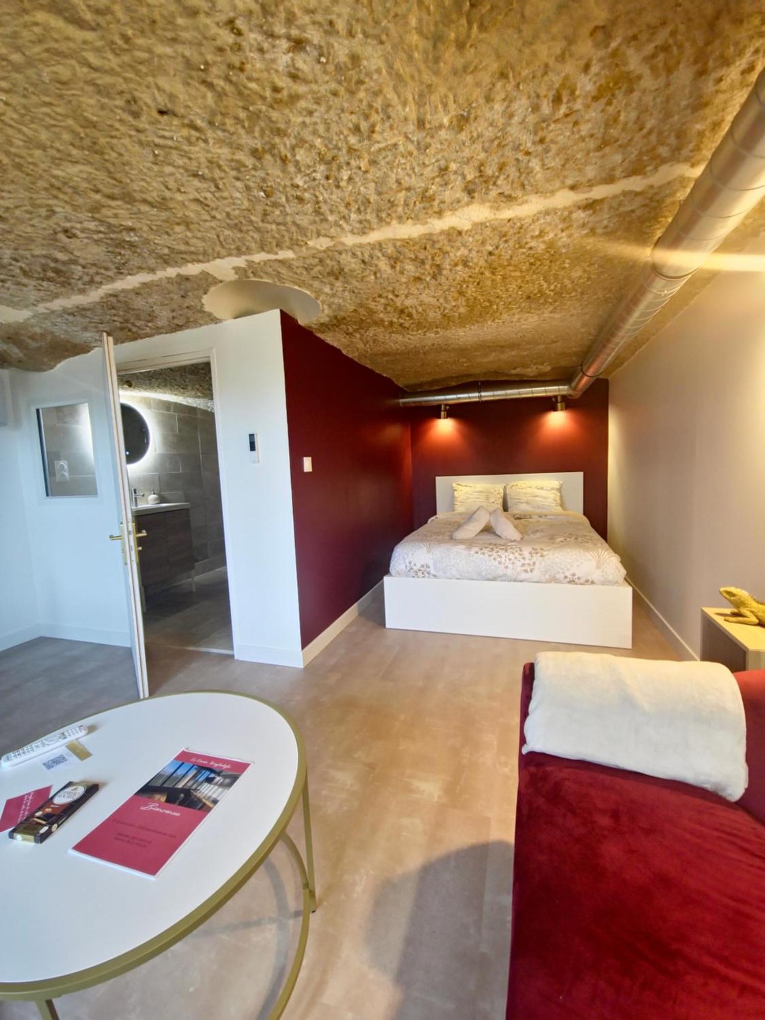 Apartmán Le Cocon Troglodyte Saint-Étienne-de-Chigny Exteriér fotografie